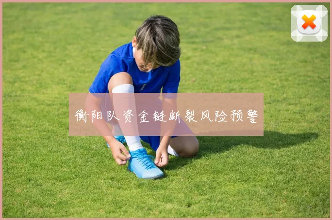 衡阳队资金链断裂风险预警