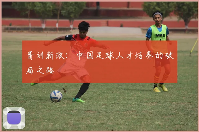 青训新政：中国足球人才培养的破局之路