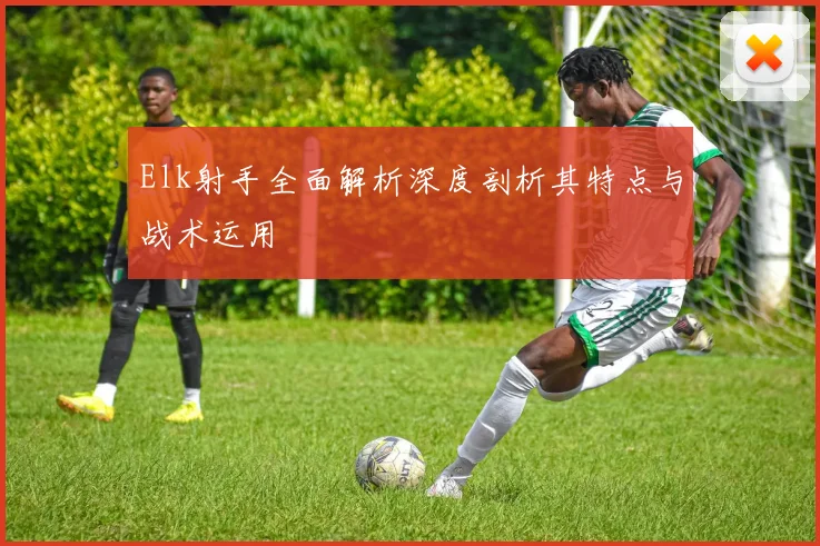 Elk射手全面解析深度剖析其特点与战术运用