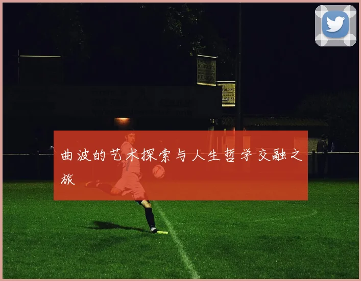 曲波的艺术探索与人生哲学交融之旅
