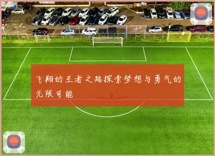 飞翔的王者之路探索梦想与勇气的无限可能