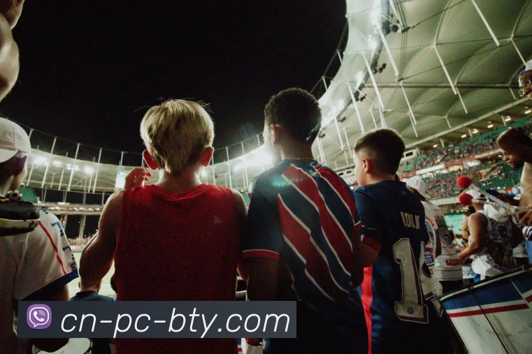 bsportsAPP 封面图